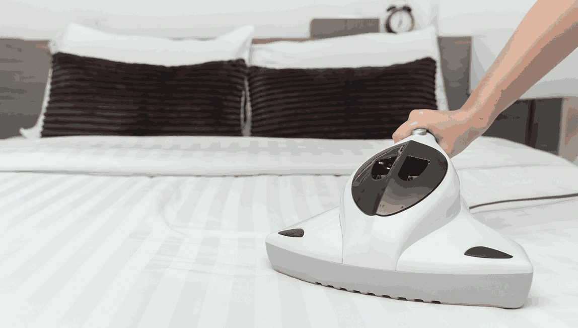 Professional Mattress Cleaning Carrum Downs